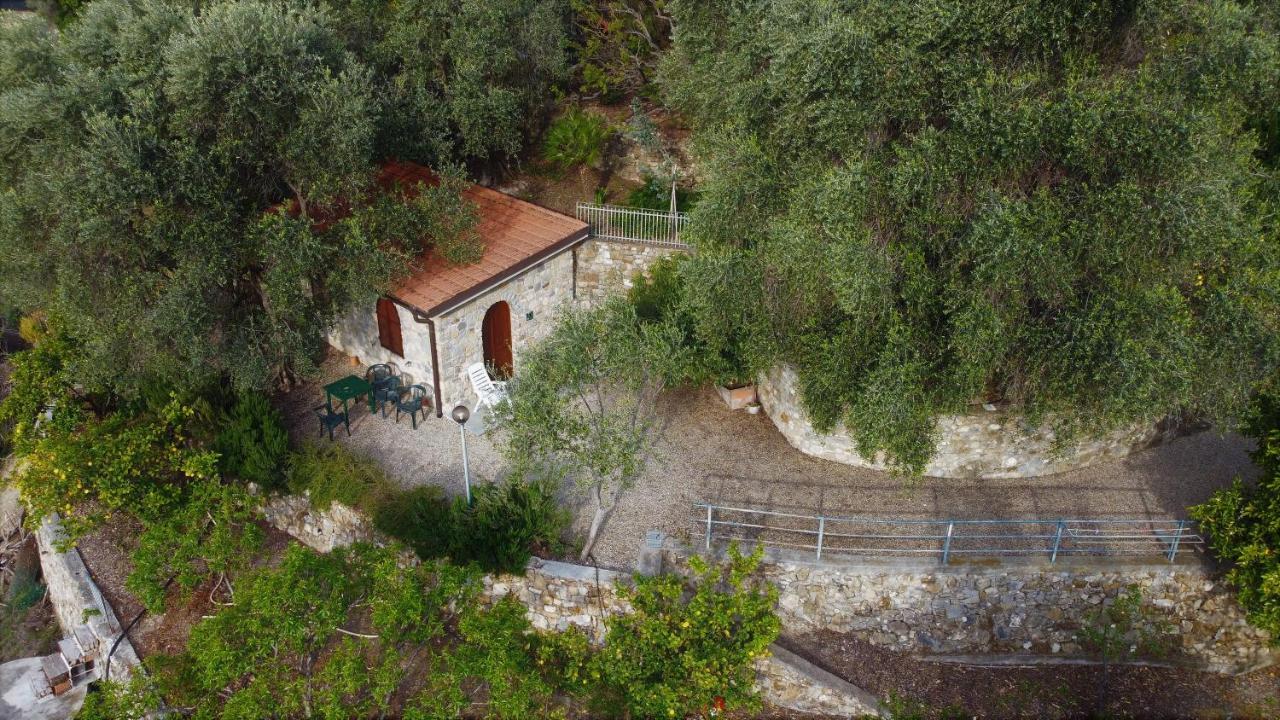 U Ciousu By Ligurian Life Appartamenti In Agriturismo Vallebona Kültér fotó