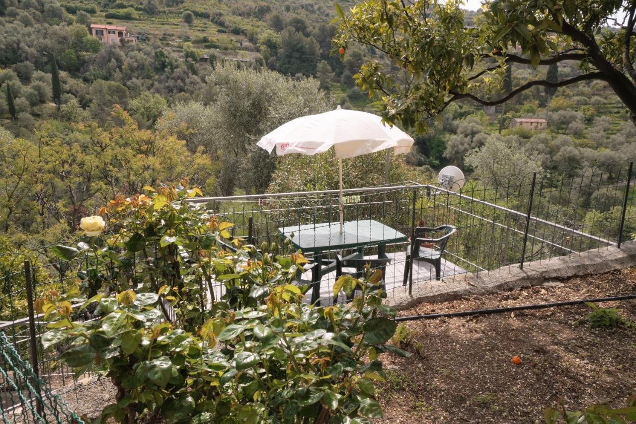 U Ciousu By Ligurian Life Appartamenti In Agriturismo Vallebona Kültér fotó