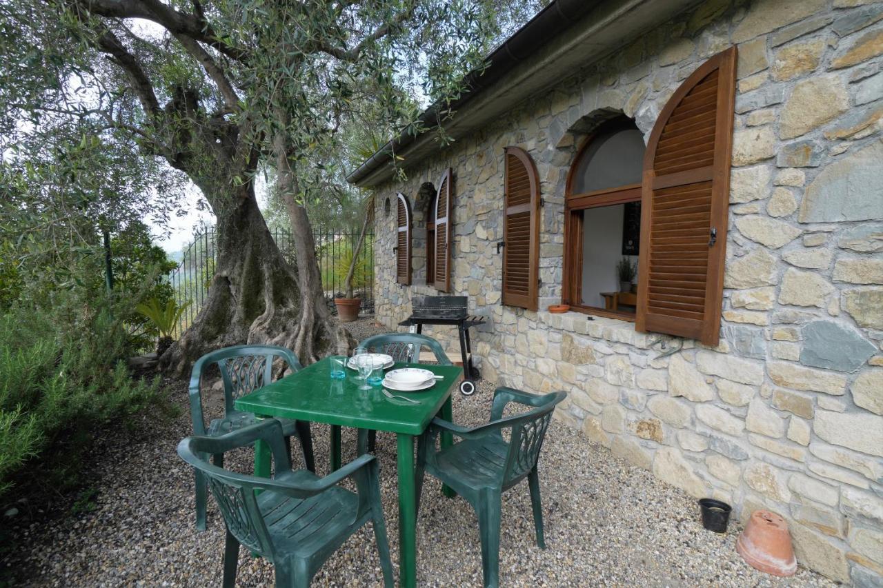 U Ciousu By Ligurian Life Appartamenti In Agriturismo Vallebona Kültér fotó