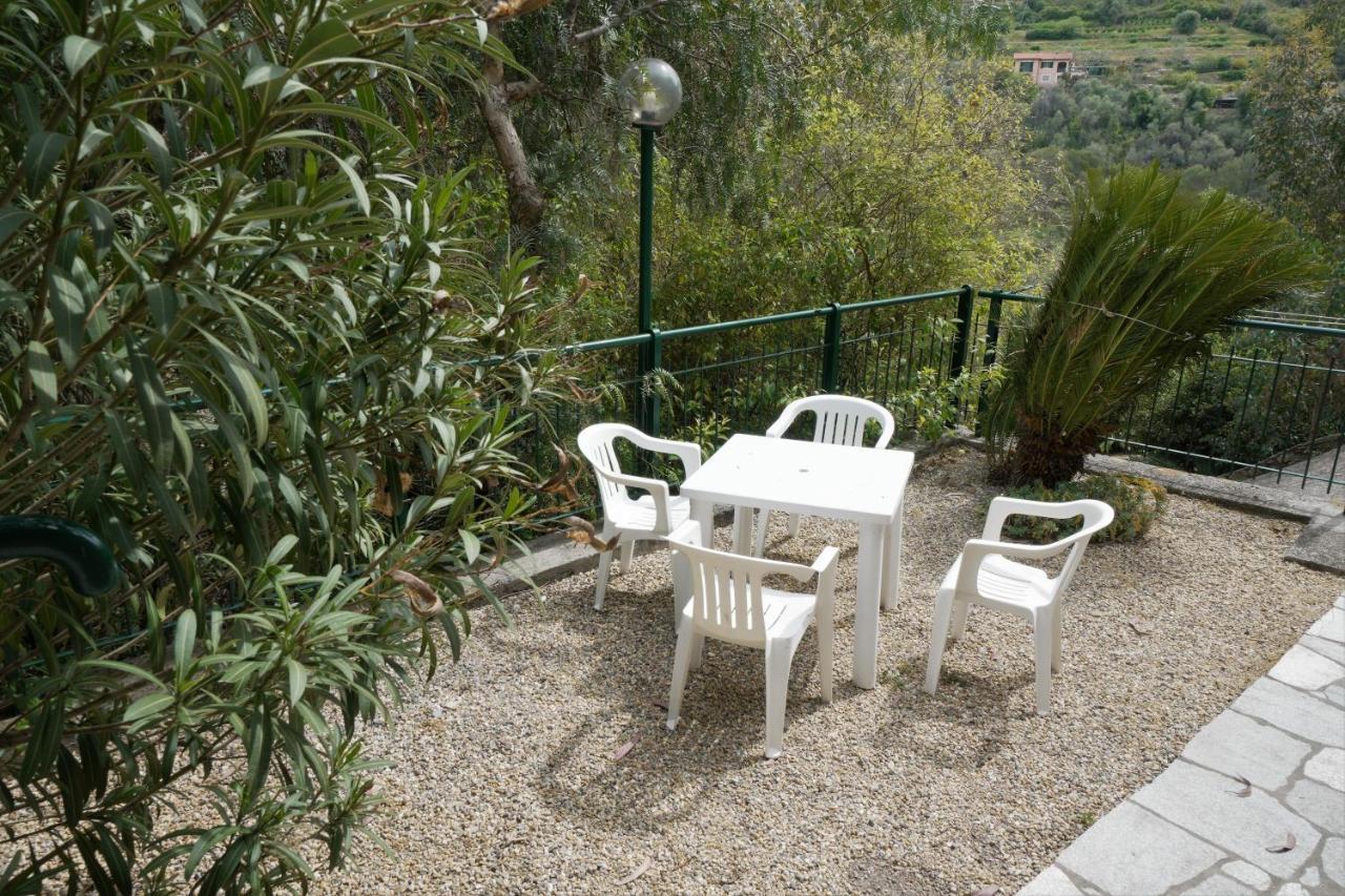 U Ciousu By Ligurian Life Appartamenti In Agriturismo Vallebona Kültér fotó