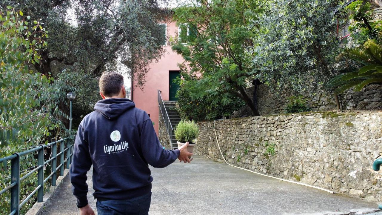 U Ciousu By Ligurian Life Appartamenti In Agriturismo Vallebona Kültér fotó