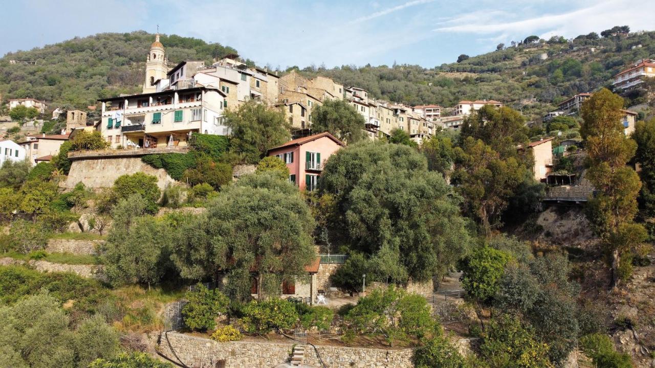 U Ciousu By Ligurian Life Appartamenti In Agriturismo Vallebona Kültér fotó